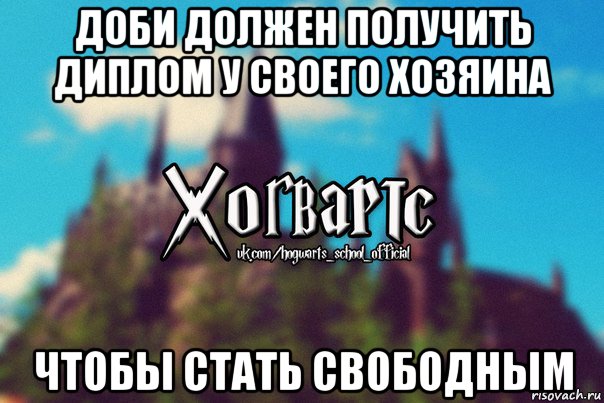 доби должен получить диплом у своего хозяина чтобы стать свободным, Мем Хогвартс