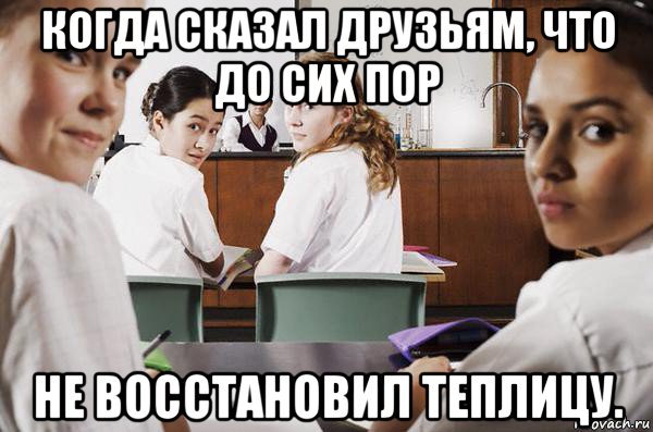 когда сказал друзьям, что до сих пор не восстановил теплицу., Мем В классе все смотрят на тебя