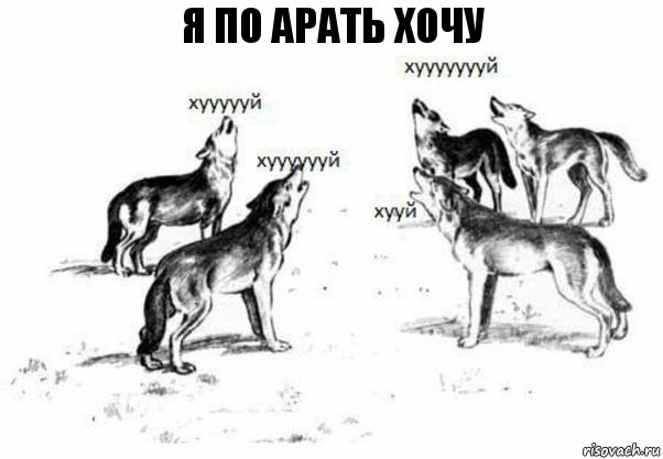 я по арать хочу, Комикс Когда хочешь