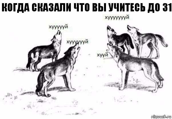 когда сказали что вы учитесь до 31, Комикс Когда хочешь