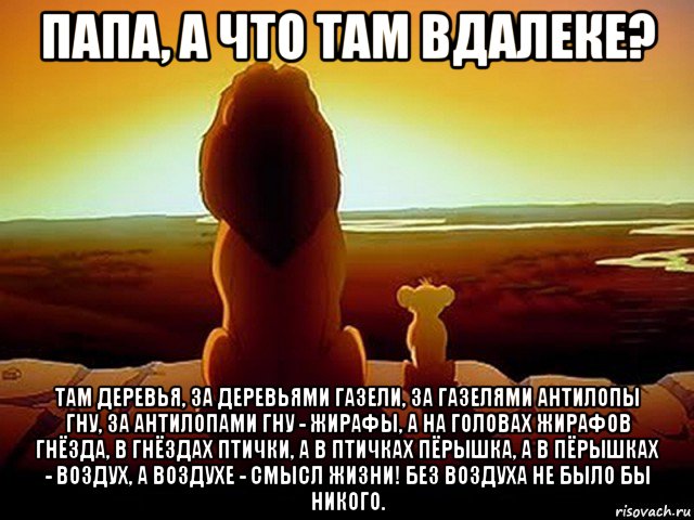 папа, а что там вдалеке? там деревья, за деревьями газели, за газелями антилопы гну, за антилопами гну - жирафы, а на головах жирафов гнёзда, в гнёздах птички, а в птичках пёрышка, а в пёрышках - воздух, а воздухе - смысл жизни! без воздуха не было бы никого.