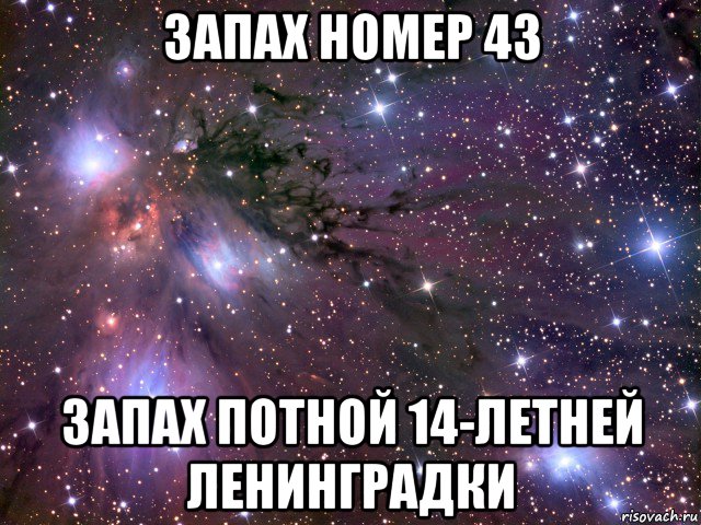 запах номер 43 запах потной 14-летней ленинградки, Мем Космос