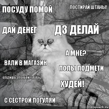 Посуду помой Полы подмети Дз делай С сестрой погуляй Вали в магазин Постирай штаны! Худей! Дай денег Следишь за собой? Хахах А мне?, Комикс  кот безысходность