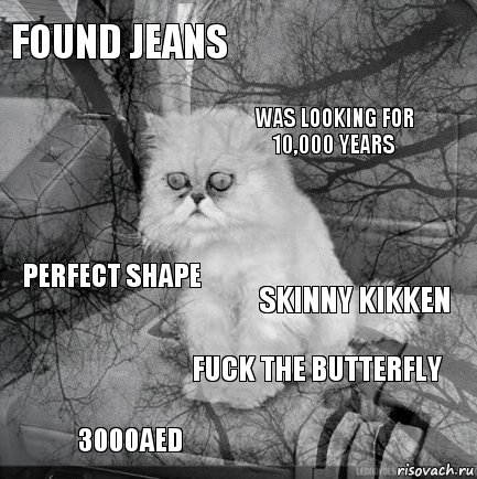 found jeans skinny Kikken was looking for 10,000 years 3000AED Perfect shape  fuck the butterfly   , Комикс  кот безысходность