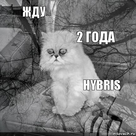 жду hybris 2 года       , Комикс  кот безысходность