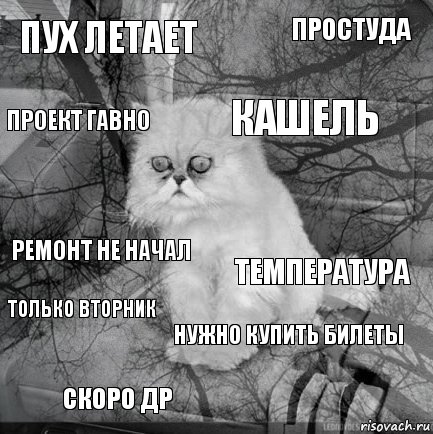 Пух летает Температура Кашель Скоро ДР Ремонт не начал Простуда Нужно купить билеты Проект гавно Только вторник , Комикс  кот безысходность