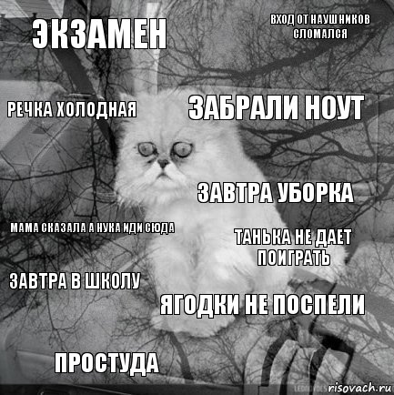 Экзамен танька не дает поиграть забрали ноут Простуда Мама сказала а нука иди сюда вход от наушников сломался Ягодки не поспели речка холодная завтра в школу Завтра уборка, Комикс  кот безысходность