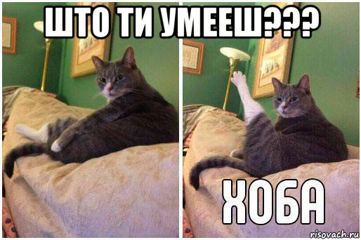 што ти умееш??? , Комикс Кот Хоба