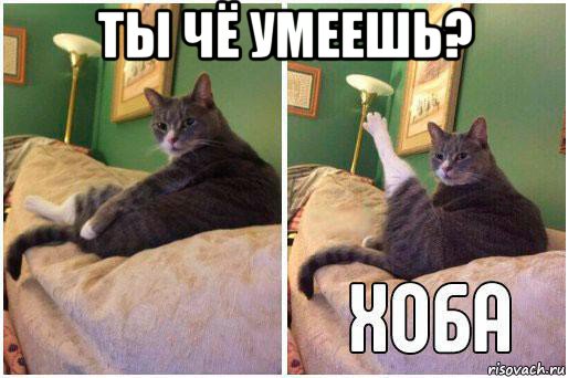 ты чё умеешь? , Комикс Кот Хоба