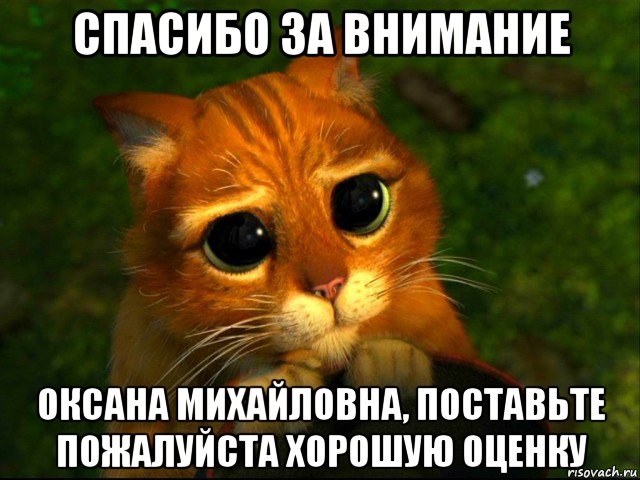 спасибо за внимание оксана михайловна, поставьте пожалуйста хорошую оценку, Мем кот из шрека