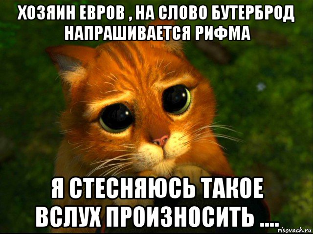 хозяин евров , на слово бутерброд напрашивается рифма я стесняюсь такое вслух произносить ...., Мем кот из шрека