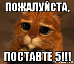 пожалуйста, поставте 5!!!