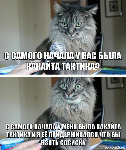 С самого начала у вас была какайта тактика? С самого начала у меня была какайта тактика и я её придерживался что бы взять сосиску, Комикс  кот с микрофоном