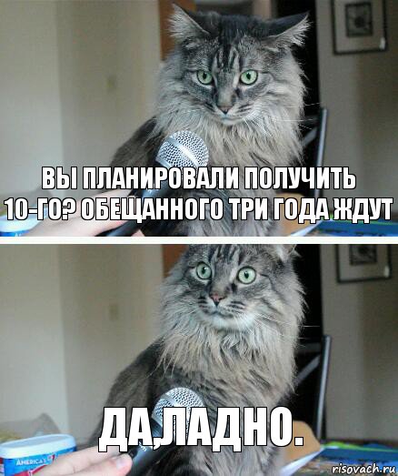 Вы планировали получить 10-го? Обещанного три года ждут Да,ладно., Комикс  кот с микрофоном