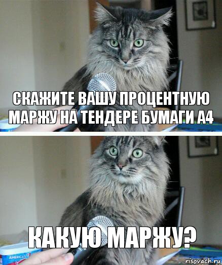 Скажите вашу процентную маржу на тендере бумаги а4 Какую маржу?, Комикс  кот с микрофоном