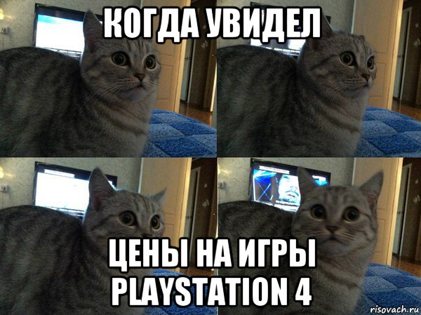 когда увидел цены на игры playstation 4, Мем  Кот в шоке