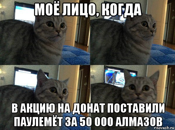 моё лицо, когда в акцию на донат поставили паулемёт за 50 000 алмазов, Мем  Кот в шоке