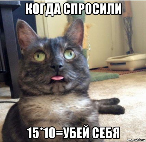 когда спросили 15*10=убей себя, Мем   Кот завис