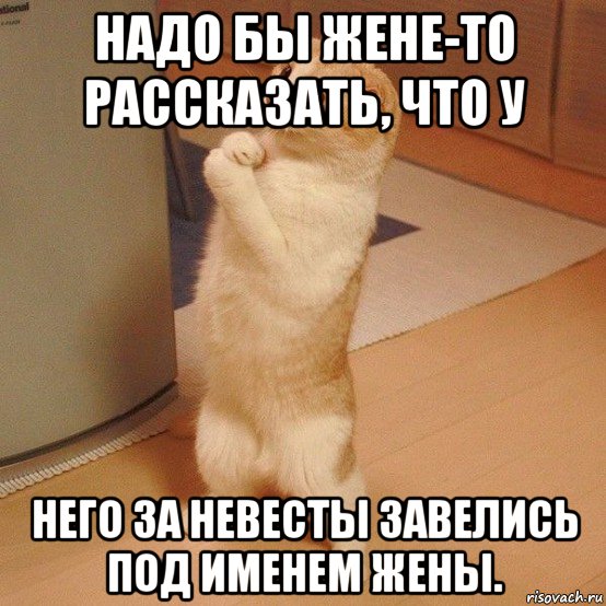 надо бы жене-то рассказать, что у него за невесты завелись под именем жены.