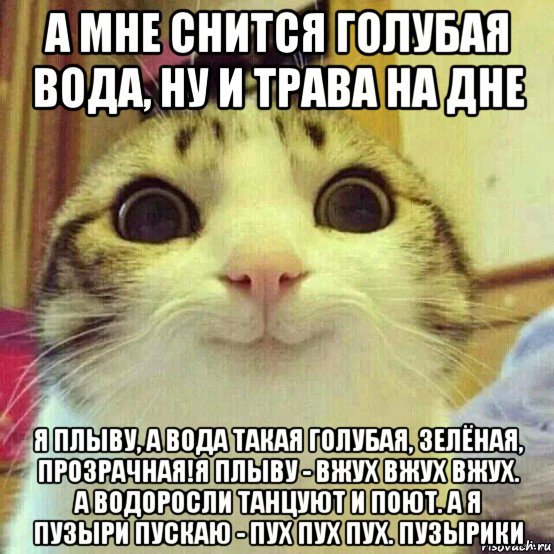 а мне снится голубая вода, ну и трава на дне я плыву, а вода такая голубая, зелёная, прозрачная!я плыву - вжух вжух вжух. а водоросли танцуют и поют. а я пузыри пускаю - пух пух пух. пузырики, Мем       Котяка-улыбака