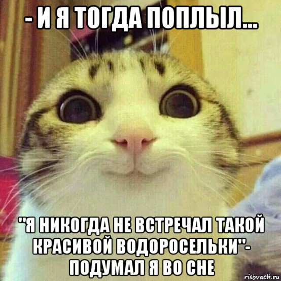 - и я тогда поплыл... "я никогда не встречал такой красивой водоросельки"- подумал я во сне, Мем       Котяка-улыбака