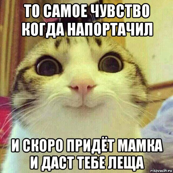 то самое чувство когда напортачил и скоро придёт мамка и даст тебе леща, Мем       Котяка-улыбака