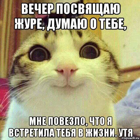 вечер посвящаю журе, думаю о тебе, мне повезло, что я встретила тебя в жизни. утя, Мем       Котяка-улыбака