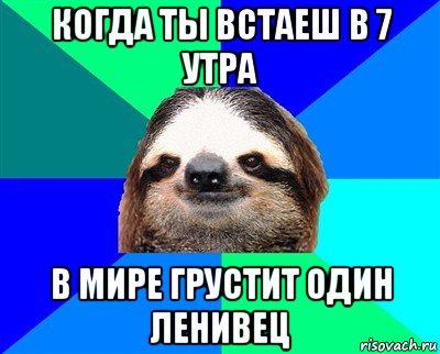 когда ты встаеш в 7 утра в мире грустит один ленивец, Мем Ленивец