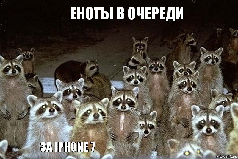 Еноты в очереди За iPhone 7, Комикс  мазеры