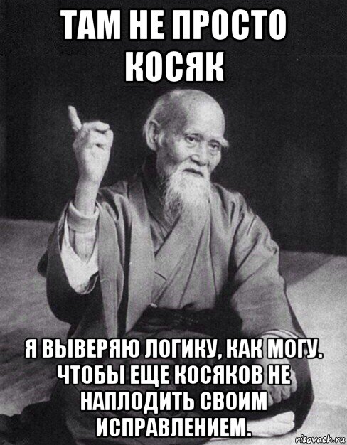 там не просто косяк я выверяю логику, как могу. чтобы еще косяков не наплодить своим исправлением., Мем Монах-мудрец (сэнсей)