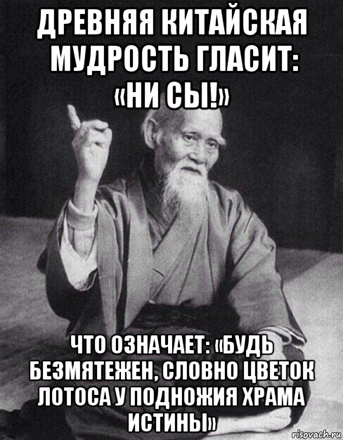 древняя китайская     мудрость гласит:     «ни сы!» что означает: «будь безмятежен, словно цветок лотоса у подножия храма истины», Мем Монах-мудрец (сэнсей)