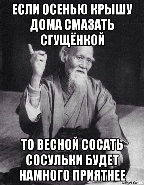 если осенью крышу дома смазать сгущёнкой то весной сосать сосульки будет намного приятнее, Мем Монах-мудрец (сэнсей)