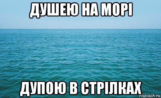 душею на морі дупою в стрілках