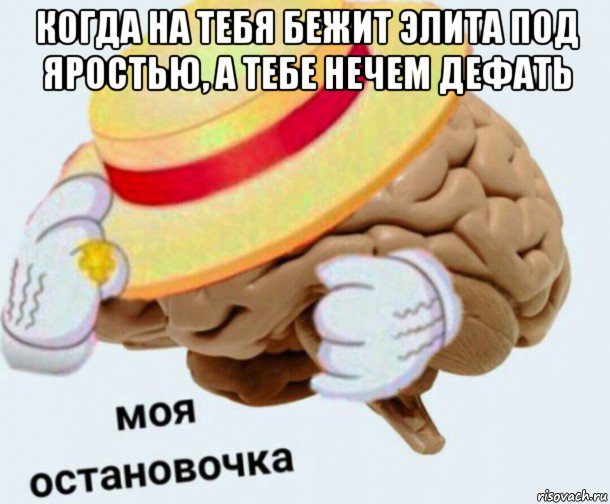 когда на тебя бежит элита под яростью, а тебе нечем дефать , Мем   Моя остановочка мозг