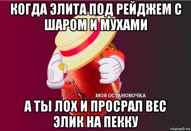 когда элита под рейджем с шаром и мухами а ты лох и просрал вес элик на пекку, Мем   Моя остановочка