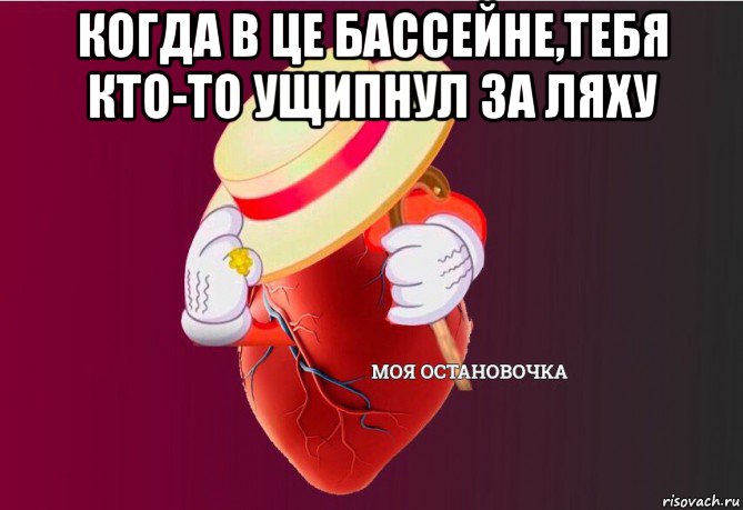 когда в це бассейне,тебя кто-то ущипнул за ляху , Мем   Моя остановочка