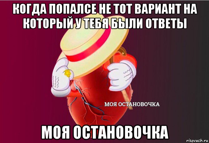 когда попалсе не тот вариант на который у тебя были ответы моя остановочка, Мем   Моя остановочка