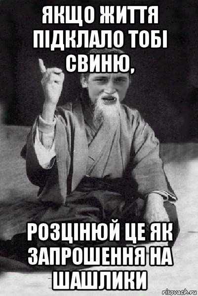 якщо життя підклало тобі свиню, розцінюй це як запрошення на шашлики, Мем Мудрий паца