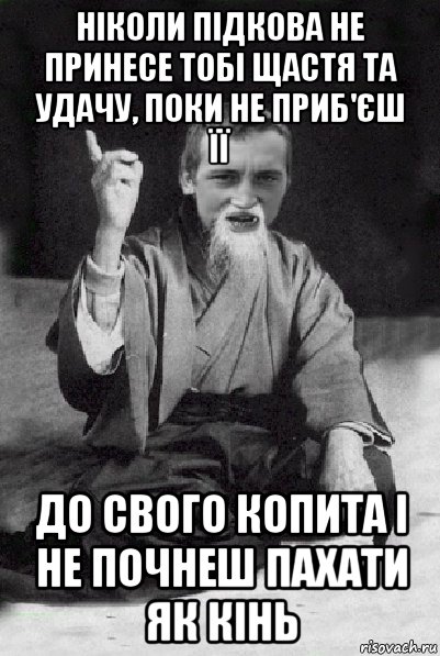 ніколи підкова не принесе тобі щастя та удачу, поки не приб'єш її до свого копита і не почнеш пахати як кінь, Мем Мудрий паца