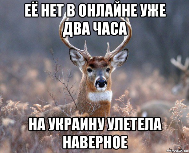 её нет в онлайне уже два часа на украину улетела наверное, Мем   Наивный олень