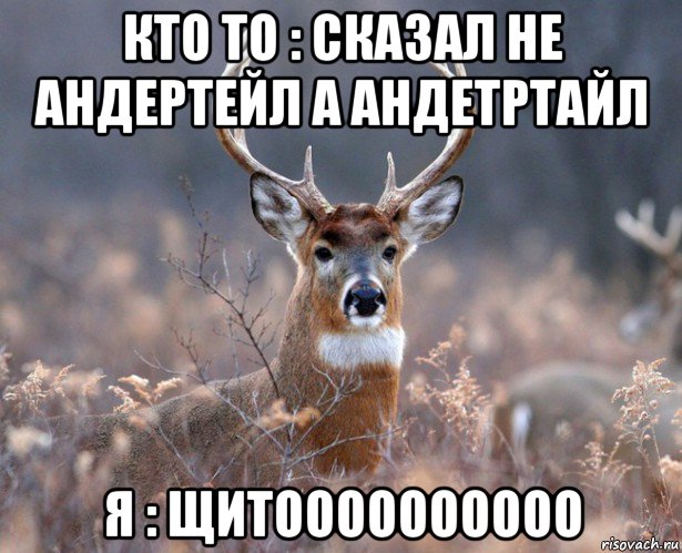 кто то : сказал не андертейл а андетртайл я : щитоооооооооо, Мем   Наивный олень