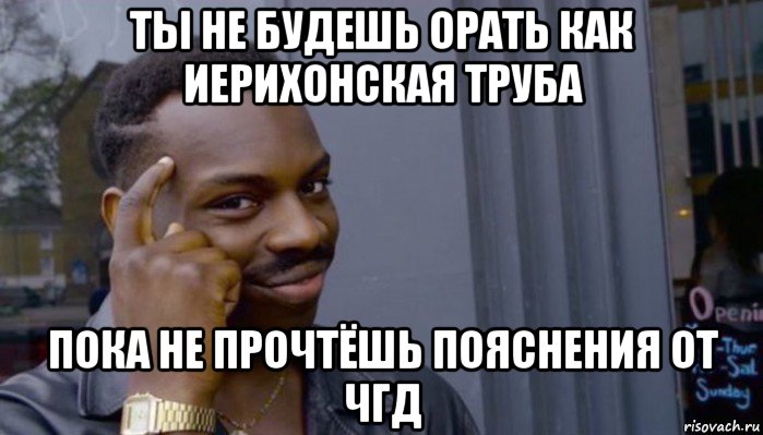 ты не будешь орать как иерихонская труба пока не прочтёшь пояснения от чгд, Мем Не делай не будет