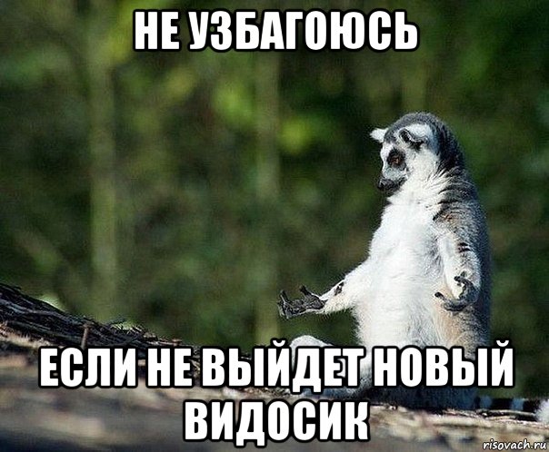 не узбагоюсь если не выйдет новый видосик