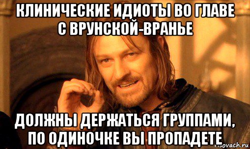 клинические идиоты во главе с врунской-вранье должны держаться группами, по одиночке вы пропадете, Мем Нельзя просто так взять и (Боромир мем)