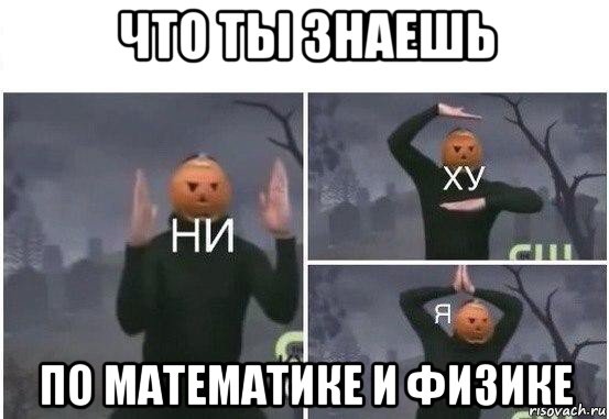 что ты знаешь по математике и физике, Мем  Ни ху Я