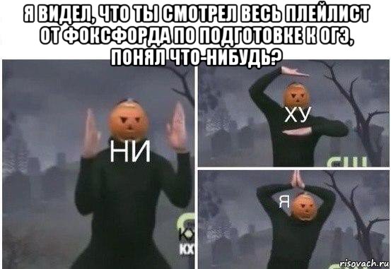 я видел, что ты смотрел весь плейлист от фоксфорда по подготовке к огэ, понял что-нибудь? , Мем  Ни ху Я