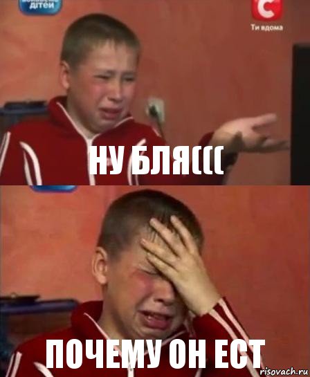 ну бля((( почему он ест