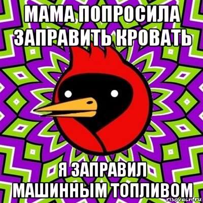 мама попросила заправить кровать я заправил машинным топливом, Мем Омская птица