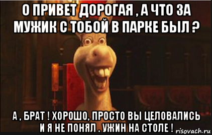 о привет дорогая , а что за мужик с тобой в парке был ? а , брат ! хорошо, просто вы целовались и я не понял . ужин на столе !, Мем Осел из Шрека