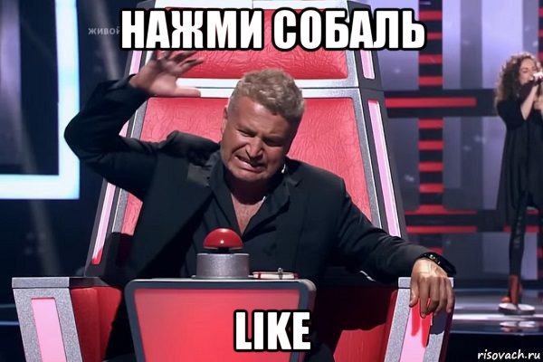 нажми собаль like, Мем   Отчаянный Агутин